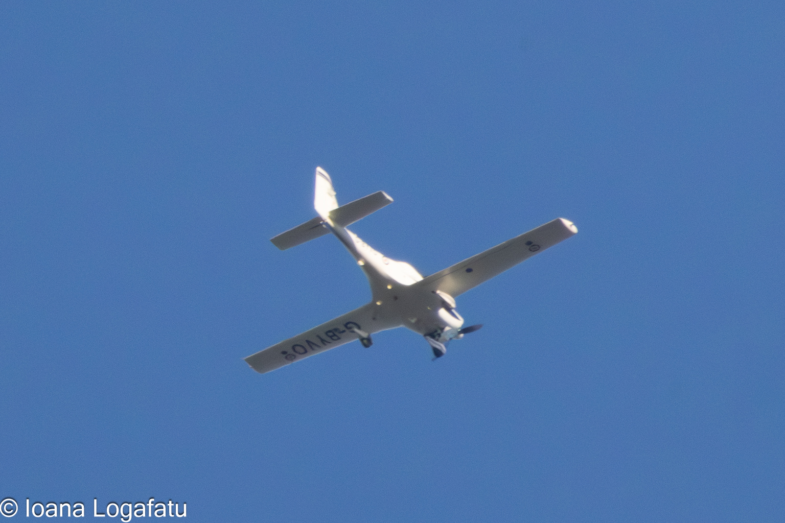 Flying high above the landscapes with grace